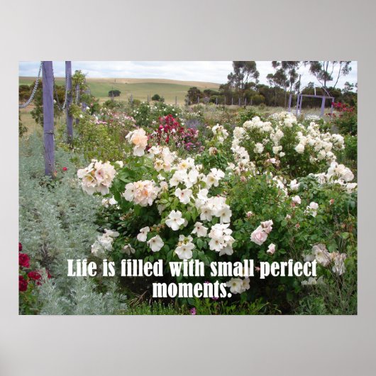 gevuld met perfecte momenten Poster van tuinbloeme (Voorkant)