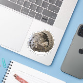 Gewalste Pangolin PCRF Sticker (Laptop met iPhone)