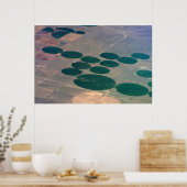 Gewas Cirkel 1 Poster (Keuken)