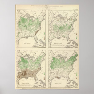 Gewassen, statistische Amerikaanse lithograaf Poster