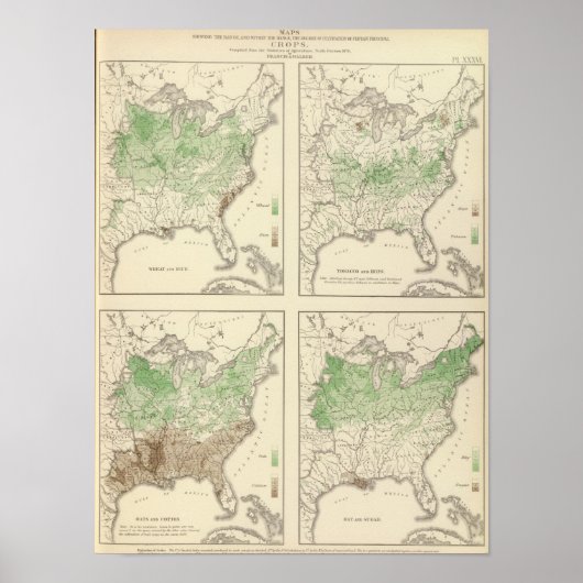 Gewassen, statistische Amerikaanse lithograaf Poster (Voorkant)