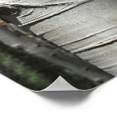 Gewatteerde kleurado Aspen-boom Poster (Hoek)