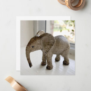 Geweesde Baby Elephant Notecards Notitiekaartje