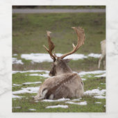 Gewei Wijn Etiket (Enkel label)