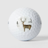 geweien, herten, natuur, jacht, dieren, buck, wild golfballen (Voorkant)