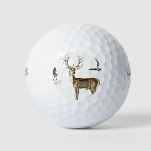 geweien, herten, natuur, jacht, dieren, buck, wild golfballen (Voorkant)