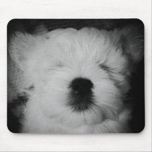 Gewelddadig het Puppy Maltipoo Muismat