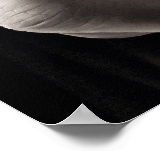 Gewelddadige actie poster (Hoek)