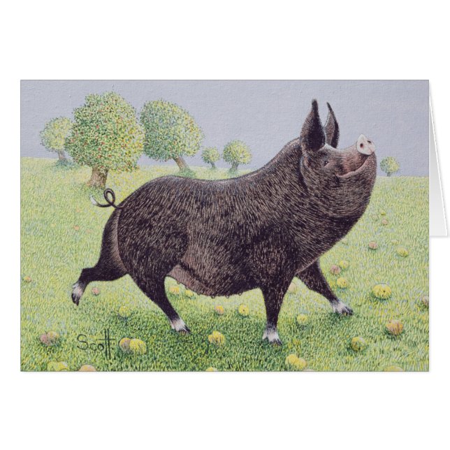 Geweldig (Voorkant Horizontaal)