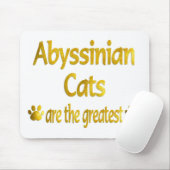 Geweldig Abyssiniaans Muismat (Met muis)