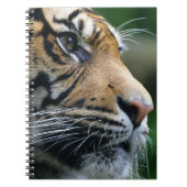 Geweldig Bengaal Tiger Face Notitieboek (Voorkant)
