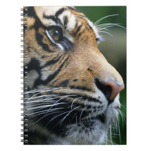 Geweldig Bengaal Tiger Face Notitieboek