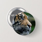 Geweldig Bengaal Tiger Face Ronde Button 5,7 Cm (Voorkant /achterkant)