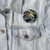 Geweldig Bengaal Tiger Face Ronde Button 5,7 Cm (In situ)
