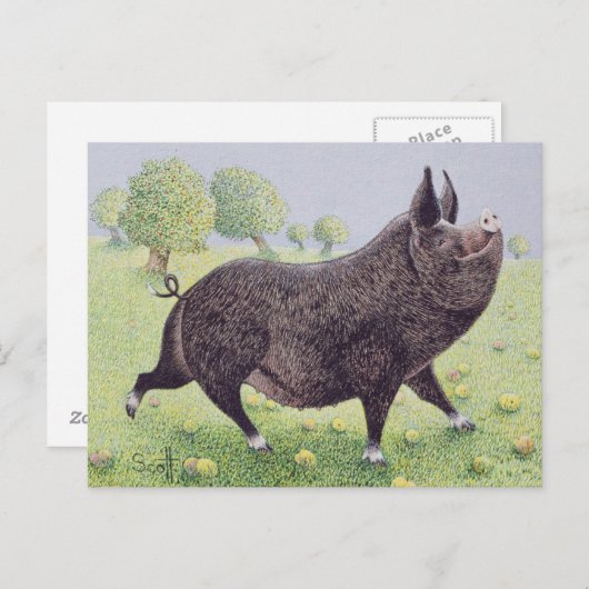 Geweldig Briefkaart (Voorkant / Achterkant)