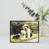 Geweldig buiten! briefkaart (Staand voorkant)