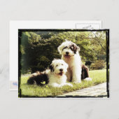 Geweldig buiten! briefkaart (Voorkant / Achterkant)