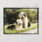 Geweldig buiten! briefkaart (Voorkant)