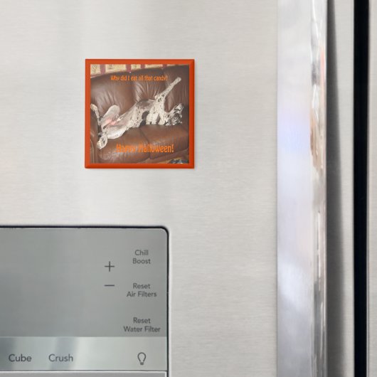 Geweldig Dane Ate teveel Halloween Snoep Magnet (Insitu (Koelkast))