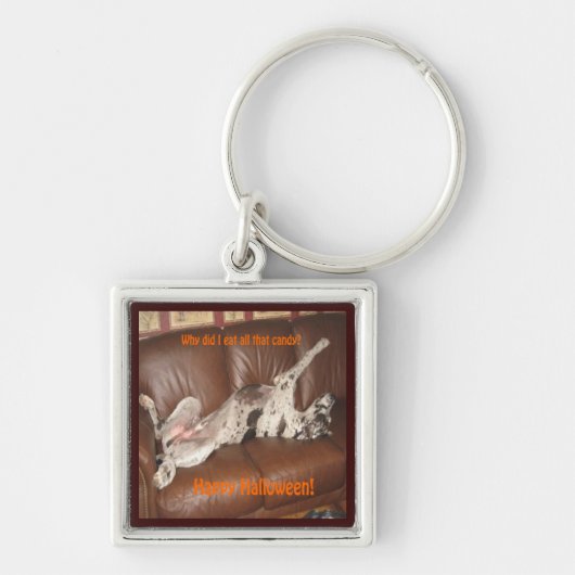 Geweldig Dane Ate teveel Halloween Snoep Sleutelhanger (Voorkant)