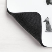 geweldig-dane-en-chihuahua1 muismat (Hoek)