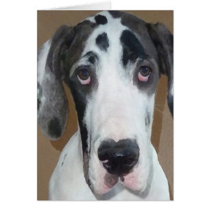 Geweldig Dane Puppy Gunner's Goofy Face
