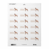 Geweldig Deens adreslabel Etiket (Full Sheet)