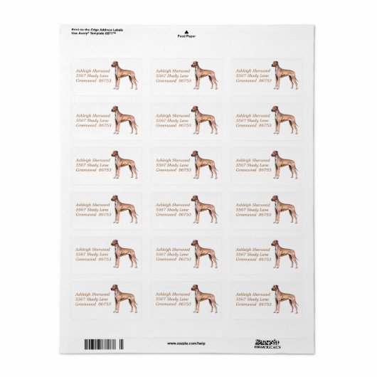 Geweldig Deens adreslabel Etiket (Full Sheet)