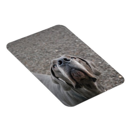 Geweldig dgesteente magneet (Rechterzijde)