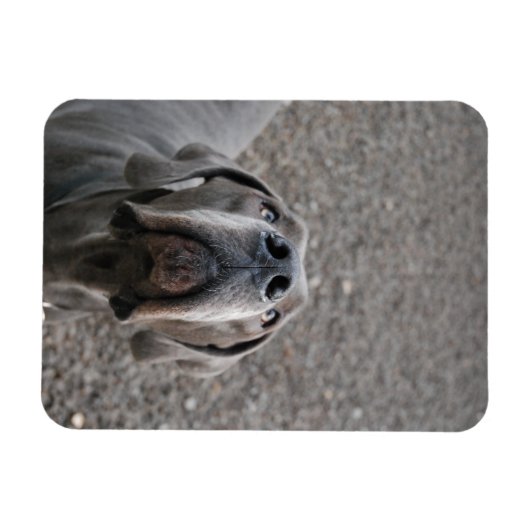 Geweldig dgesteente magneet (Horizontaal)