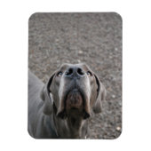 Geweldig dgesteente magneet (Verticaal)