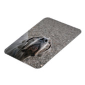 Geweldig dgesteente magneet (Linkerzijde)