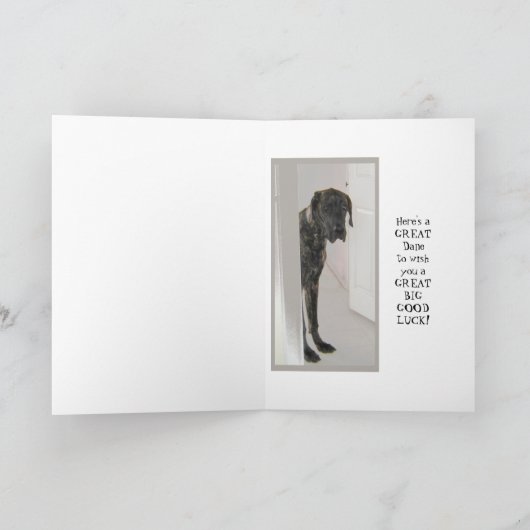 Geweldig gebluste dwerghond kaart (Binnen)