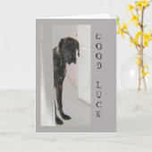 Geweldig gebluste dwerghond kaart (Gele Bloem)