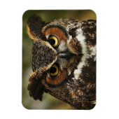 Geweldig gehoorzaam optrekken Flexibele fotomagnee Magneet (Verticaal)