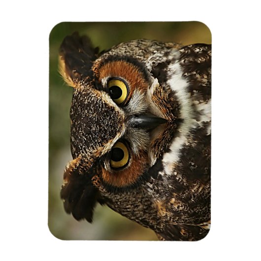 Geweldig gehoorzaam optrekken Flexibele fotomagnee Magneet (Verticaal)