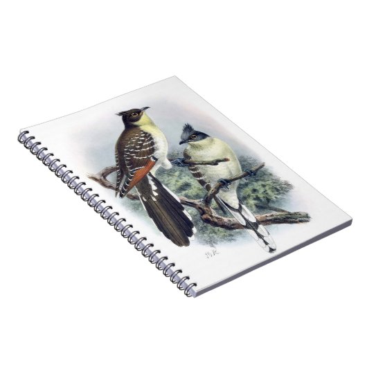Geweldig gescand Cuckoo Bird Note Book Notitieboek (Rechterzijde)