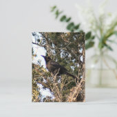 Geweldig getrapt Briefkaart voor foto's (Staand voorkant)