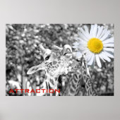 Geweldig Giraffe aantrekkingsPoster! Poster (Voorkant)
