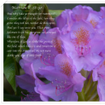 Geweldig is uw trouw!