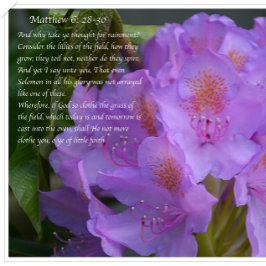 Geweldig is uw trouw! briefkaart