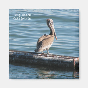 Geweldig Lange Beach Magnet! Magneet