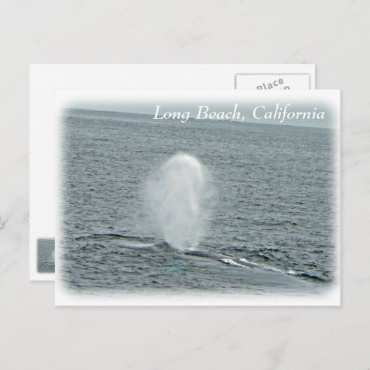 Geweldig Long Beach Whale Briefkaart! Briefkaart (Voorkant / Achterkant)