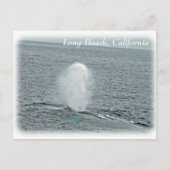 Geweldig Long Beach Whale Briefkaart! Briefkaart (Voorkant)