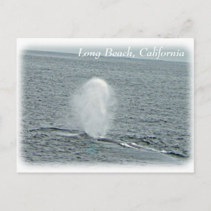 Geweldig Long Beach Whale Briefkaart! Briefkaart