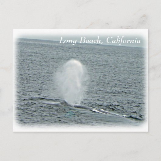Geweldig Long Beach Whale Briefkaart! Briefkaart (Voorkant)