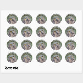 Geweldig! Onder de indruk Uil Stickers (Vel)