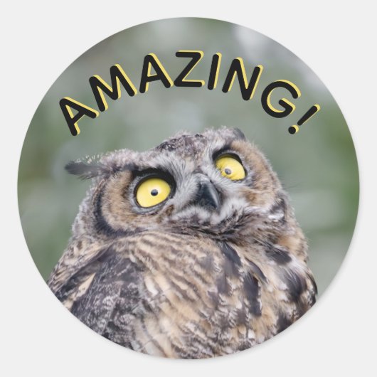 Geweldig! Onder de indruk Uil Stickers (Voorkant)