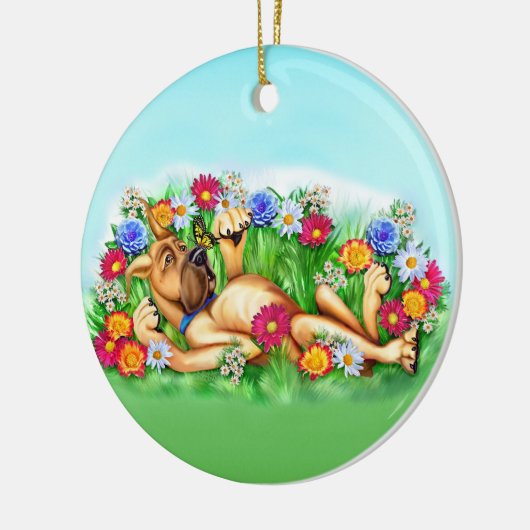 Geweldig Ornament voor het achternaderen van butte (Links)