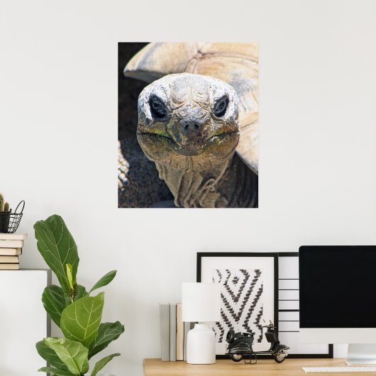 Geweldig schildpad Poster! Poster (Thuiskantoor)